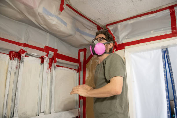 Professional Mold Removal in Elim, PA