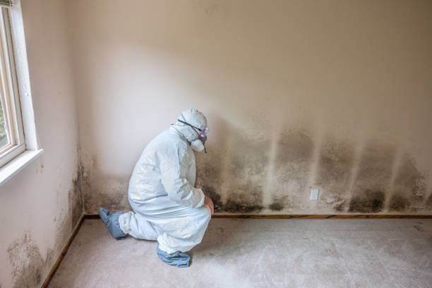 Best Biohazard Mold Removal  in Elim, PA
